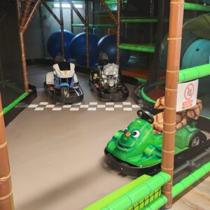 mini-karting
